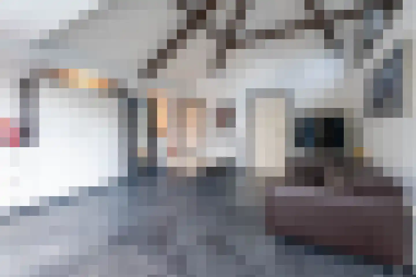 Velsgoed 12 Prinsenbeek thumbnail 22
