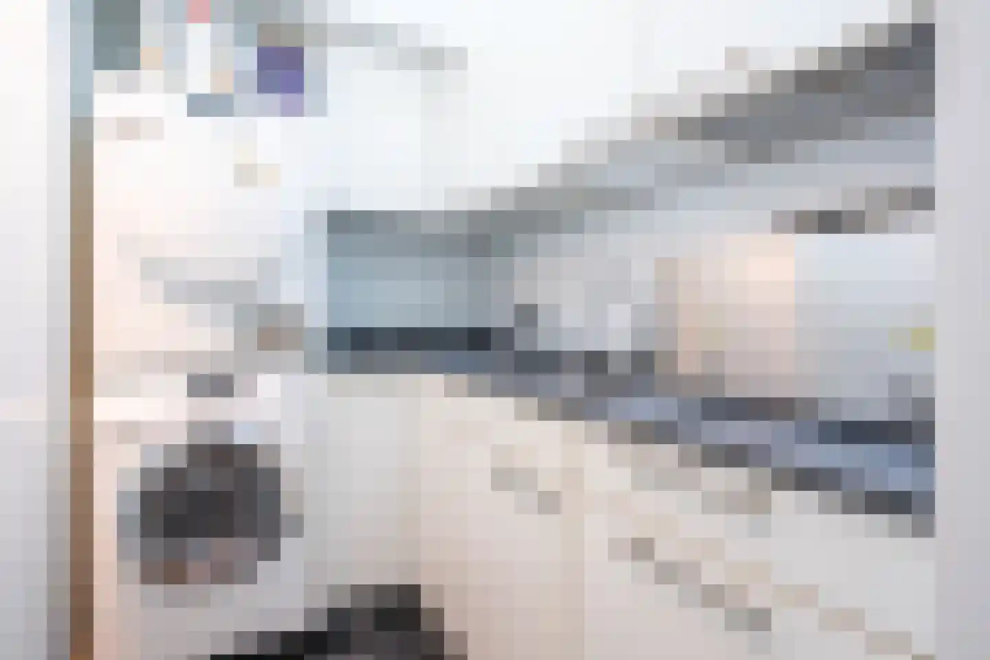 Velsgoed 12 Prinsenbeek thumbnail 26
