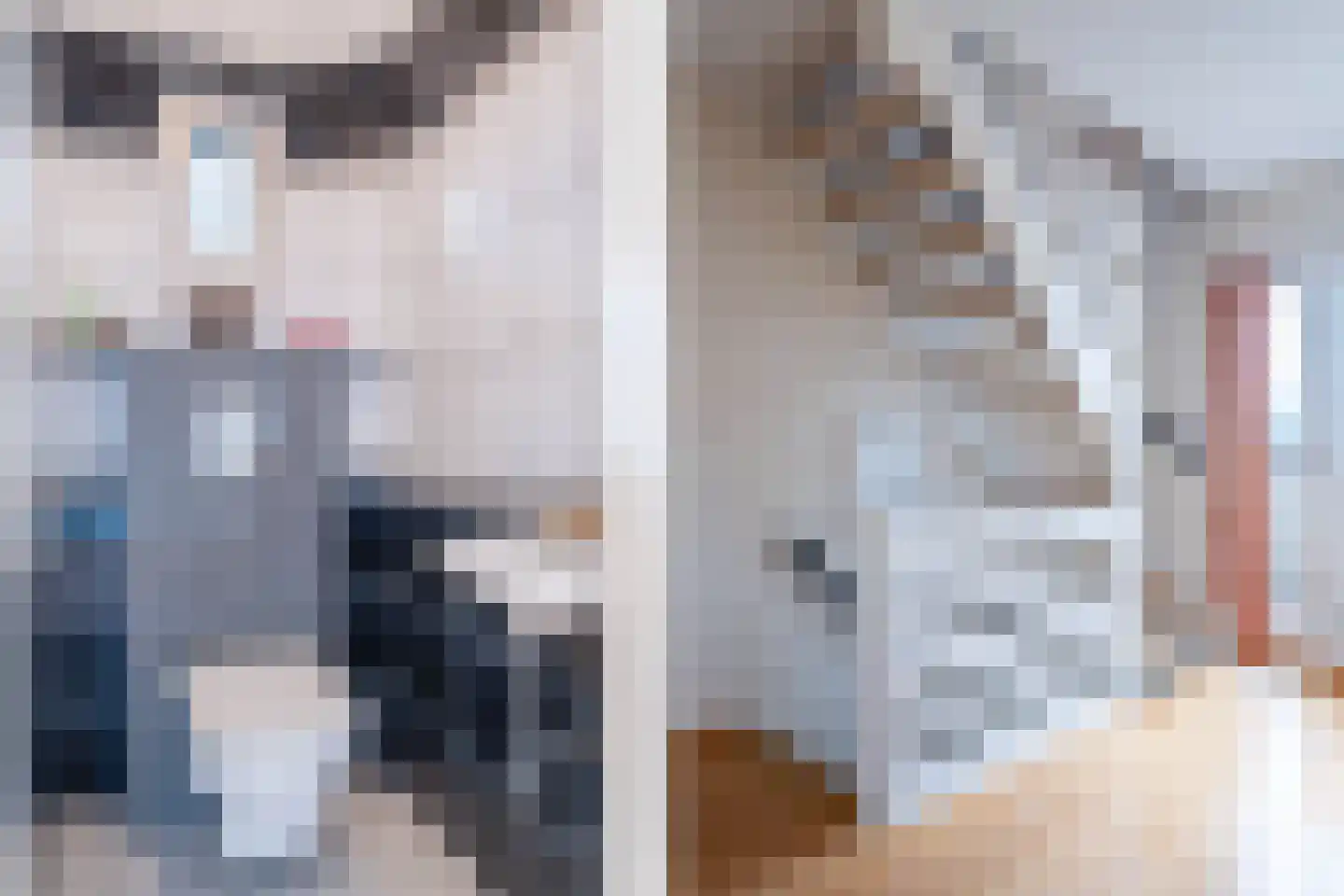 Velsgoed 12 Prinsenbeek thumbnail 29