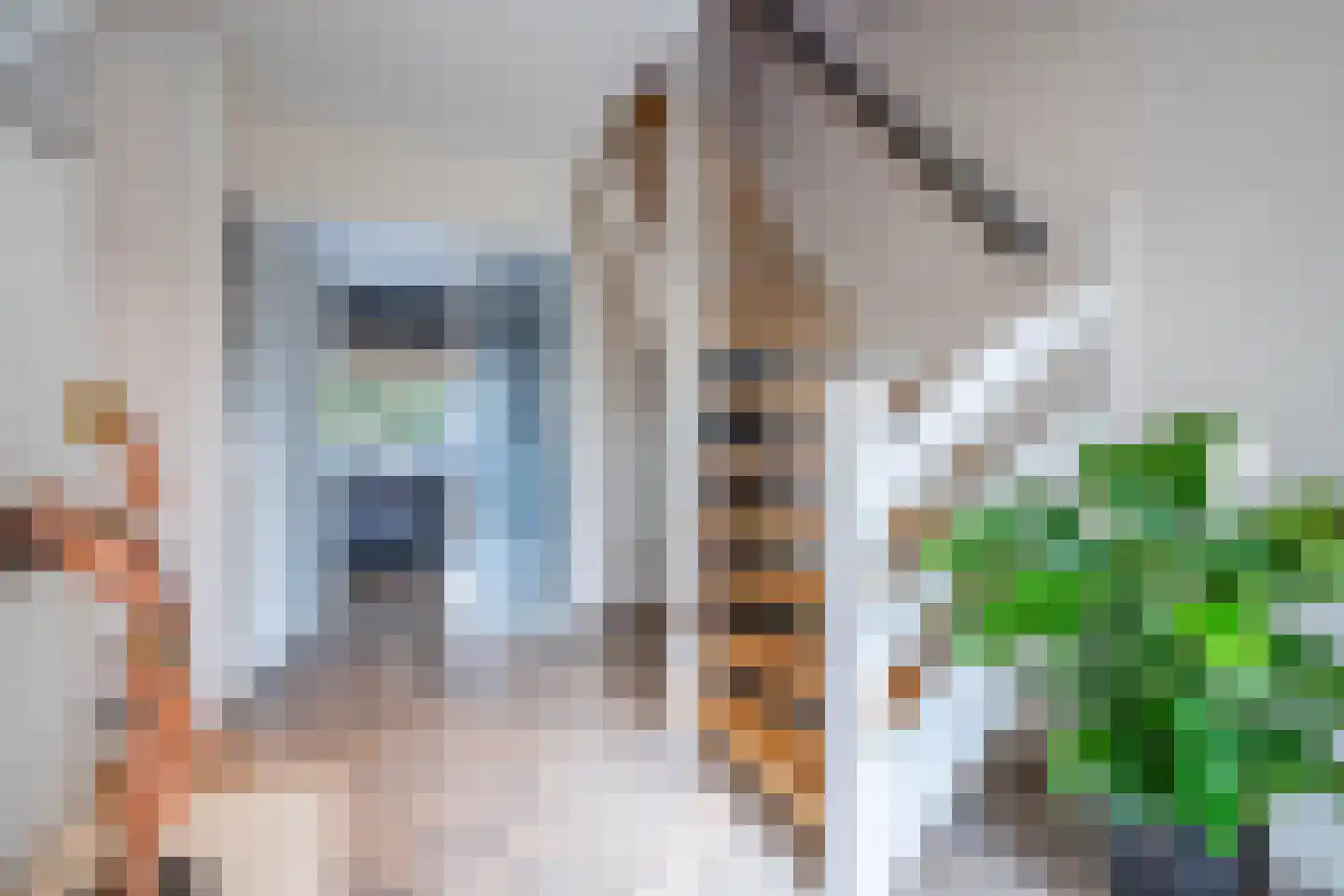 Velsgoed 12 Prinsenbeek thumbnail 4