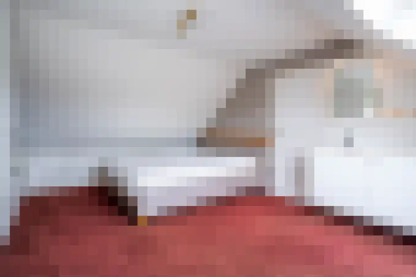 Velsgoed 12 Prinsenbeek thumbnail 41