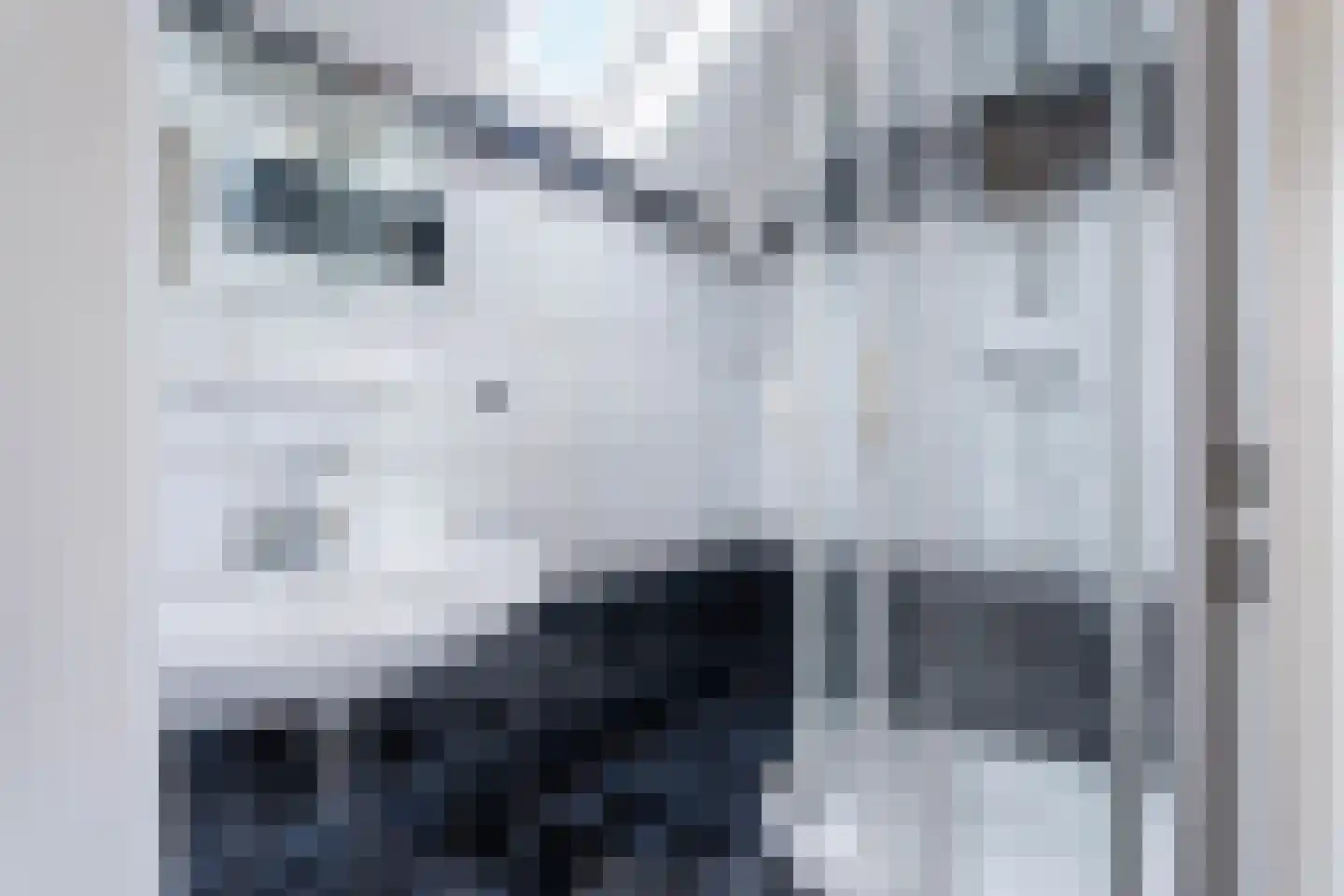 Velsgoed 12 Prinsenbeek thumbnail 44