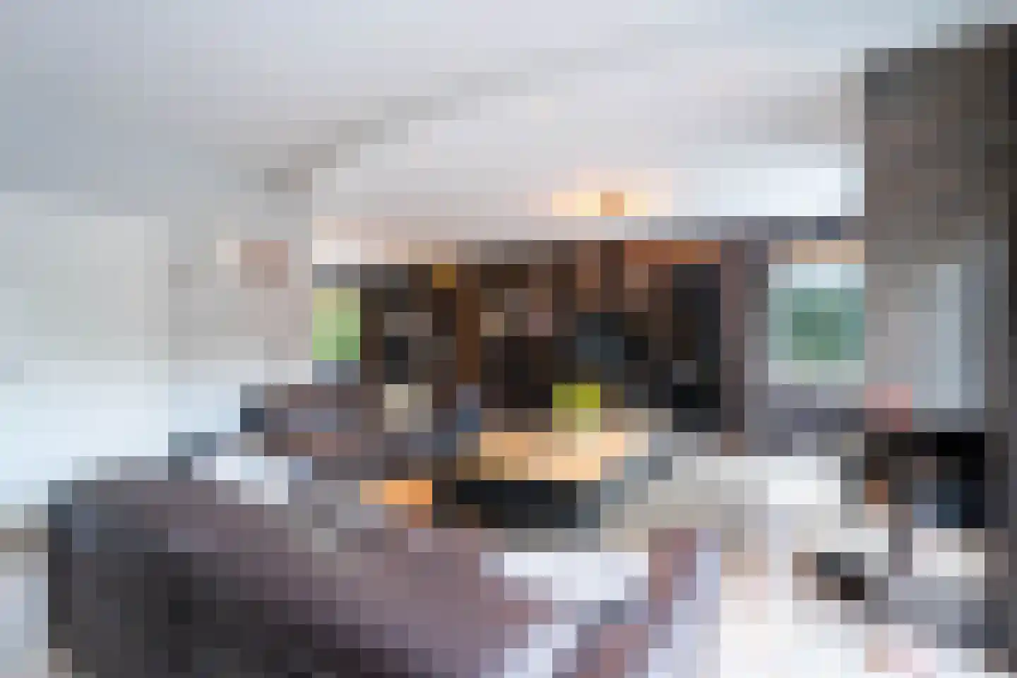 Velsgoed 12 Prinsenbeek thumbnail 8
