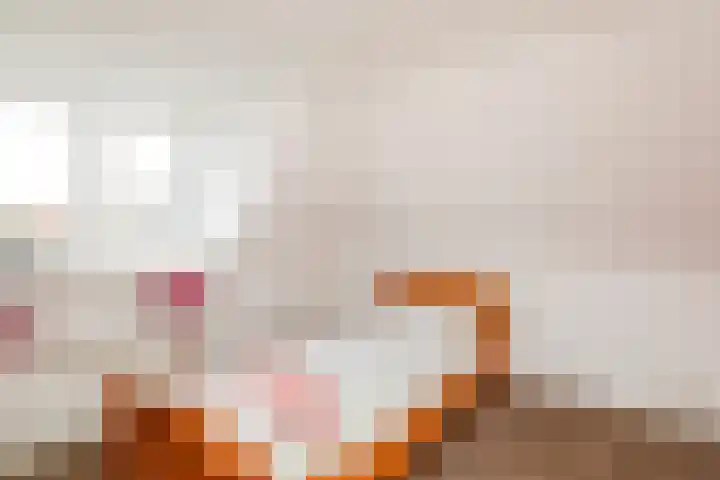 Veltackerstraat 8 Diessen thumbnail 15