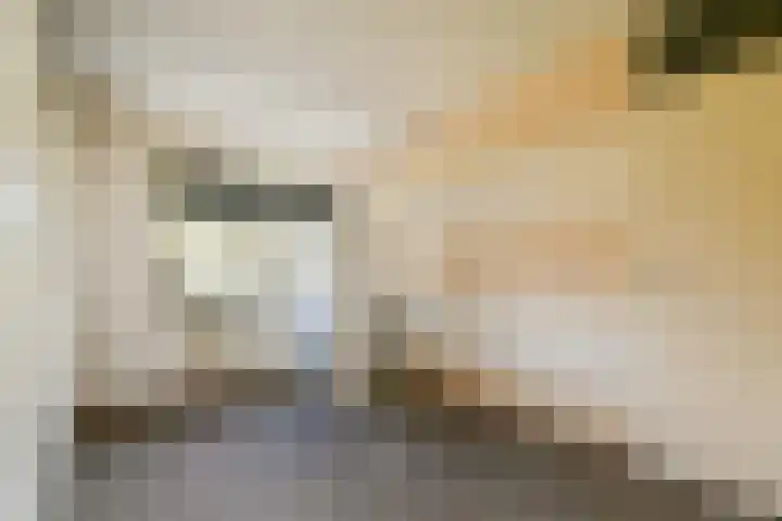 Veltackerstraat 8 Diessen thumbnail 18