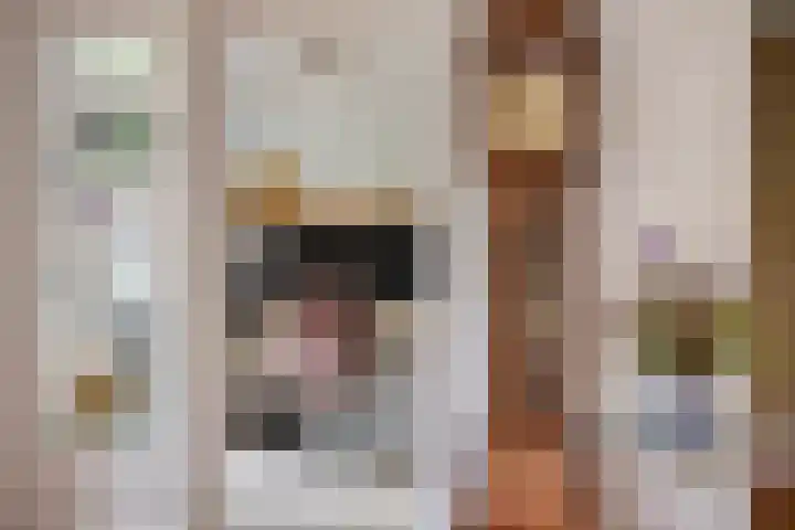 Veltackerstraat 8 Diessen thumbnail 18