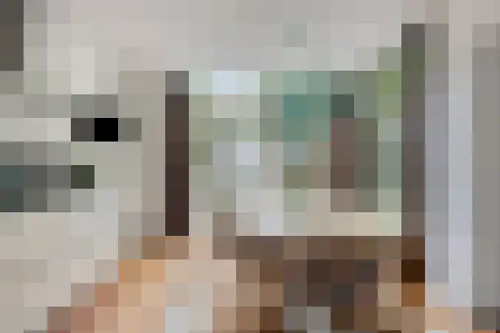 Veltackerstraat 8 Diessen thumbnail 21