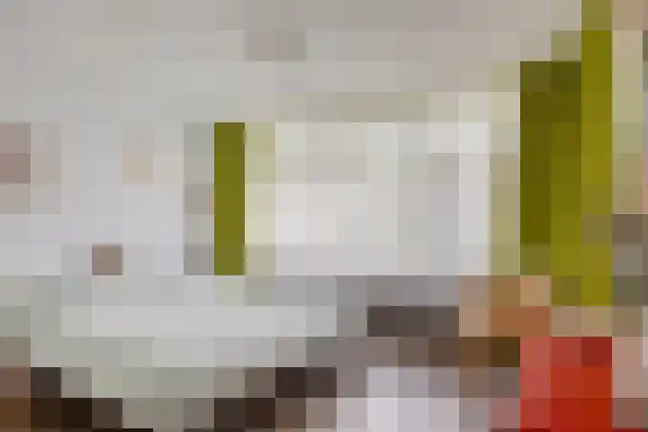 Veltackerstraat 8 Diessen thumbnail 27