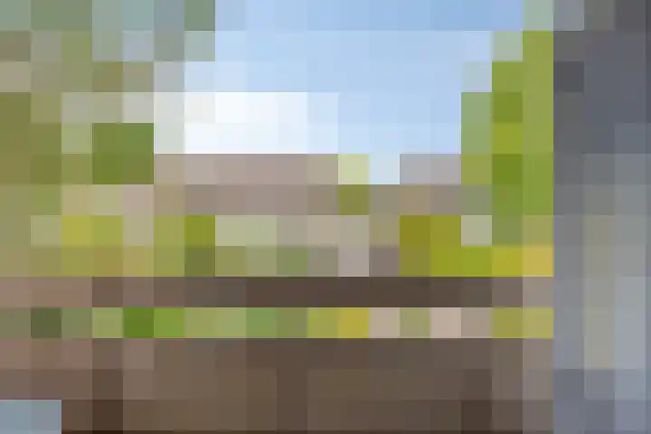 Veltackerstraat 8 Diessen thumbnail 30