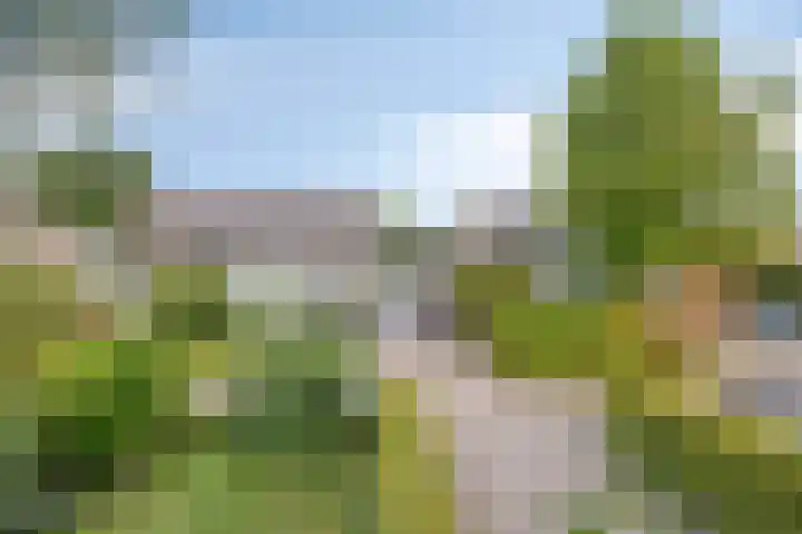 Veltackerstraat 8 Diessen thumbnail 31