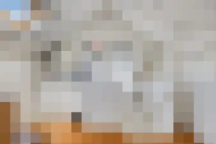 Veltackerstraat 8 Diessen thumbnail 38