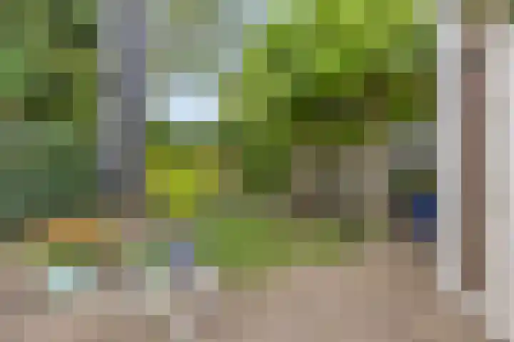 Veltackerstraat 8 Diessen thumbnail 40