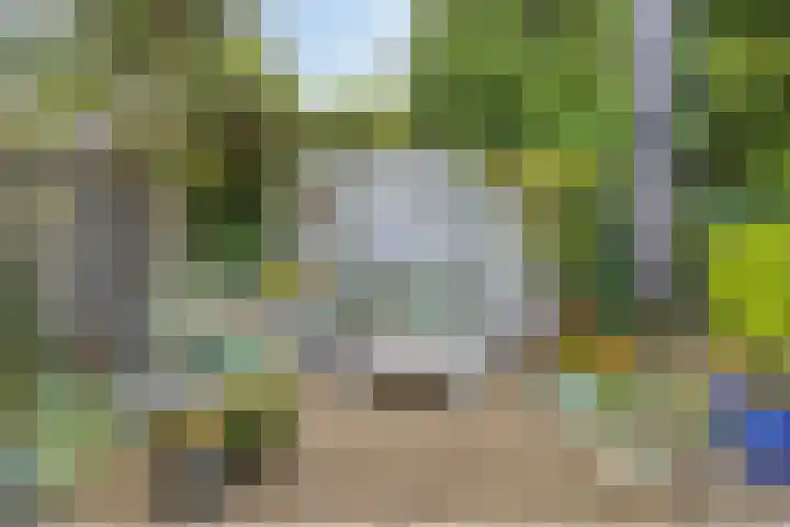 Veltackerstraat 8 Diessen thumbnail 43