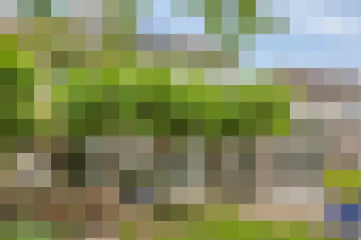 Veltackerstraat 8 Diessen thumbnail 44