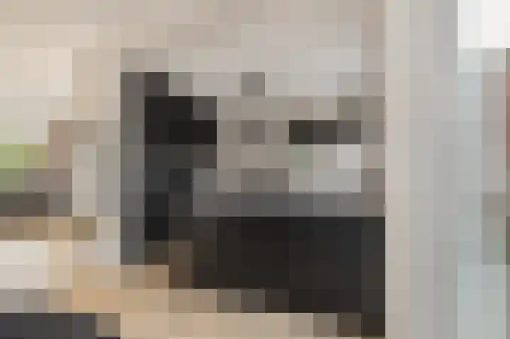 Veltackerstraat 8 Diessen thumbnail 45