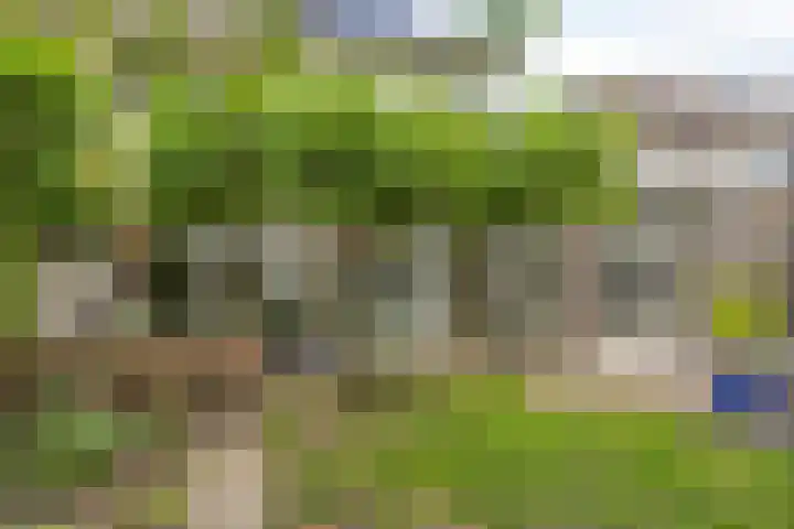 Veltackerstraat 8 Diessen thumbnail 45