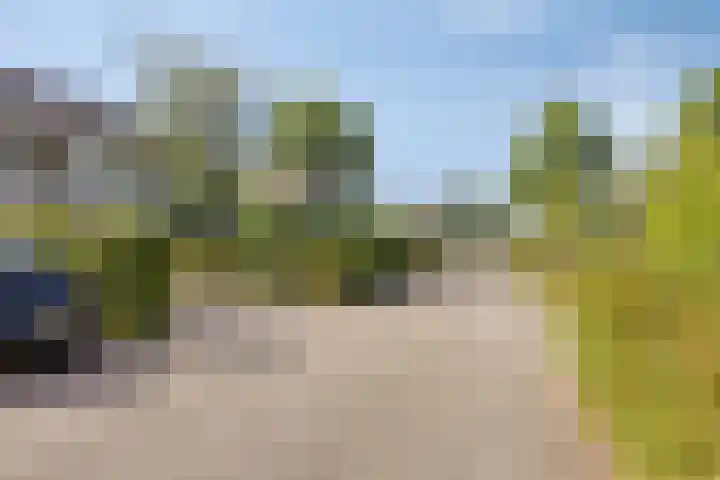 Veltackerstraat 8 Diessen thumbnail 7