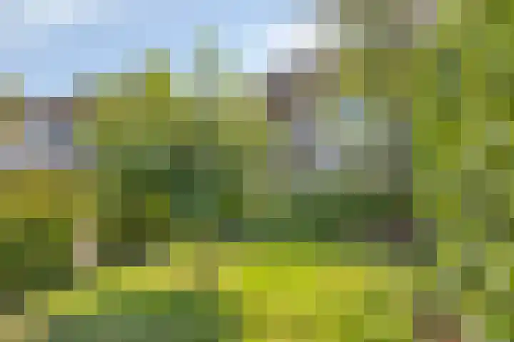 Veltackerstraat 8 Diessen thumbnail 8