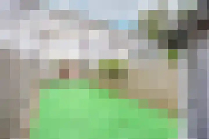 Veltumse Kleffen 36 Venray thumbnail 23