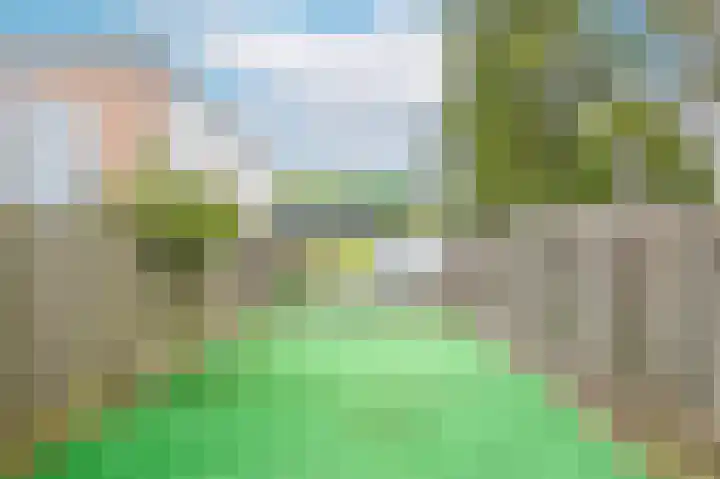 Veltumse Kleffen 36 Venray thumbnail 24