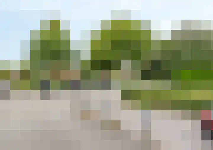 Veltumse Kleffen 36 Venray thumbnail 32
