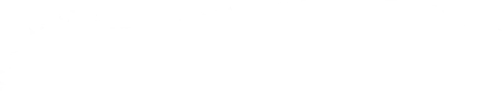 Team foto van Veluwe Chalets Makelaars