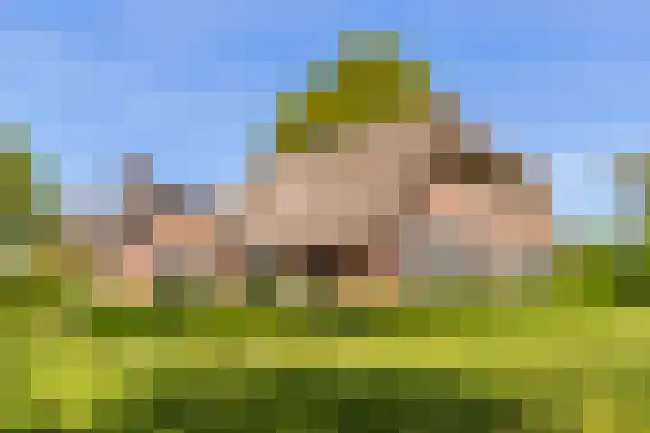 Veluwsedijk 4 Oene
