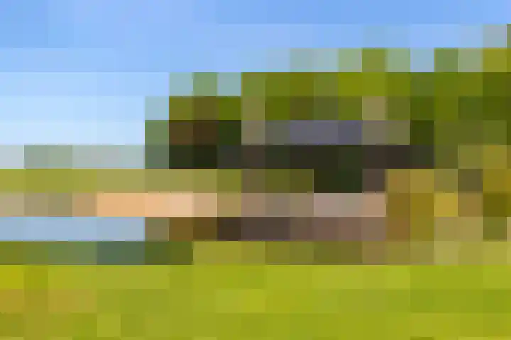Veluwsedijk 4 Oene thumbnail 14