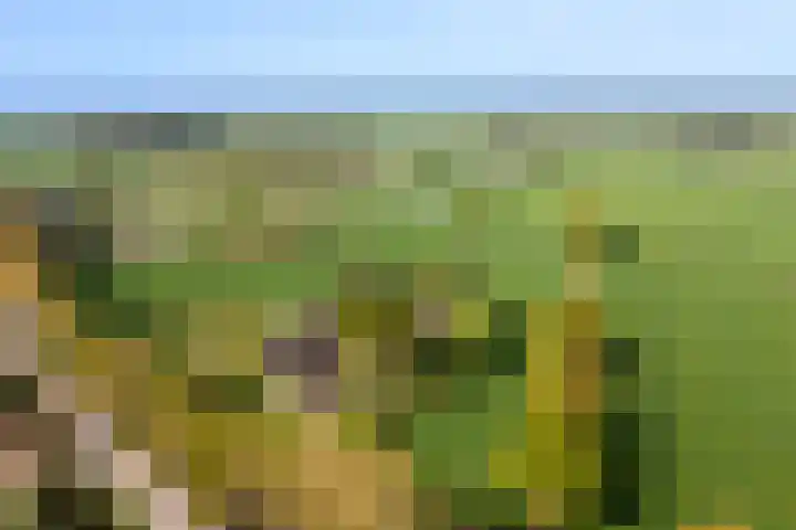 Veluwsedijk 4 Oene thumbnail 5