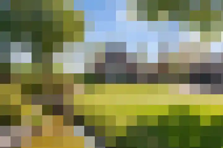 Veluwsedijk 4 Oene thumbnail 8