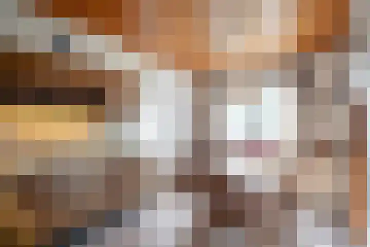 Vemderdwarsweg 3 Epe thumbnail 11