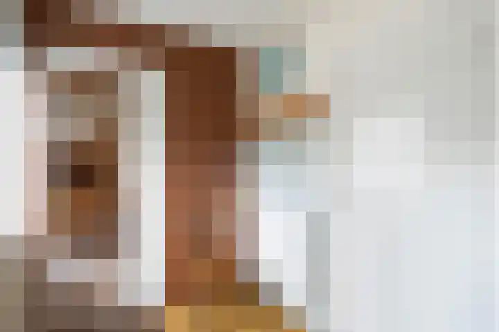 Vemderdwarsweg 3 Epe thumbnail 14