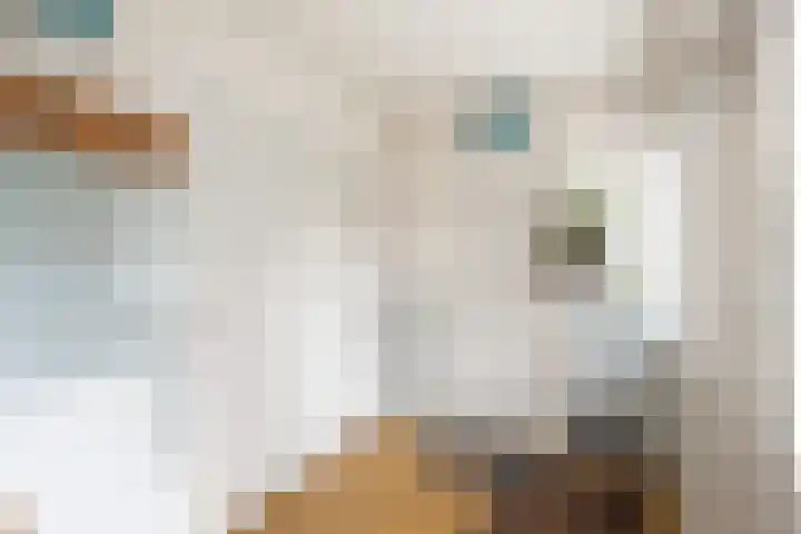 Vemderdwarsweg 3 Epe thumbnail 19