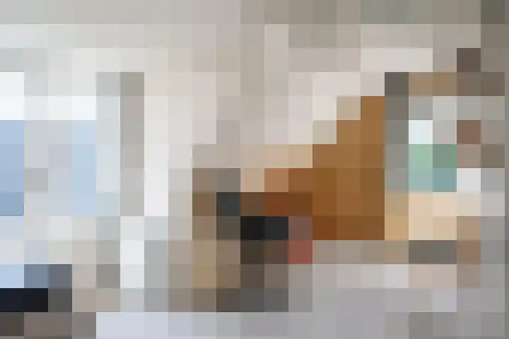 Vemderdwarsweg 3 Epe thumbnail 22