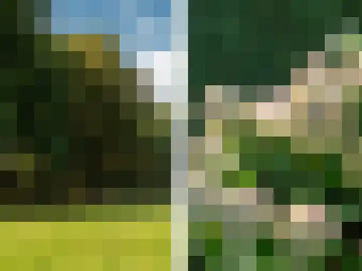 Vemderdwarsweg 3 Epe thumbnail 31