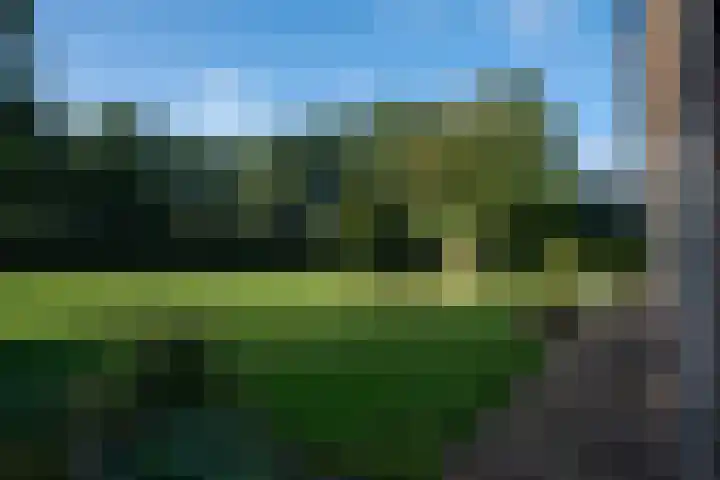 Vemderdwarsweg 3 Epe thumbnail 32