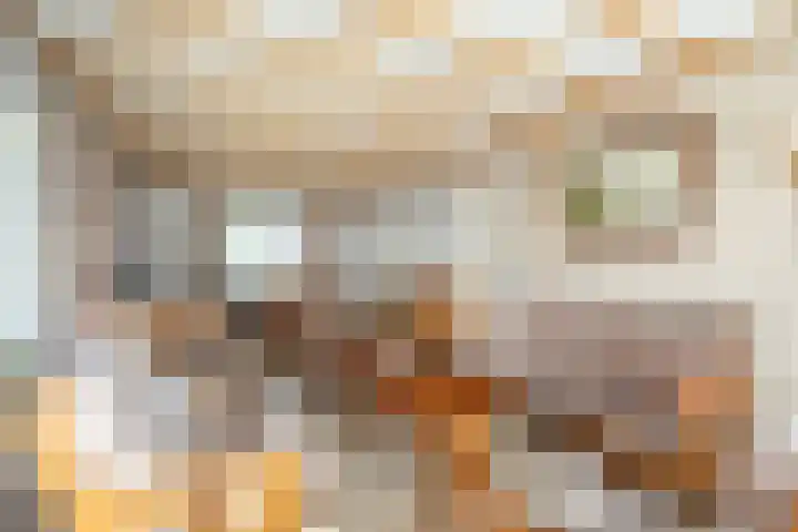 Vemderdwarsweg 3 Epe thumbnail 7