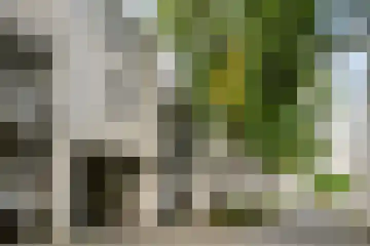 Vendelhof 56 Schiedam thumbnail 20