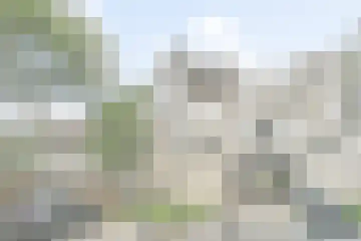 Vendelhof 56 Schiedam thumbnail 4