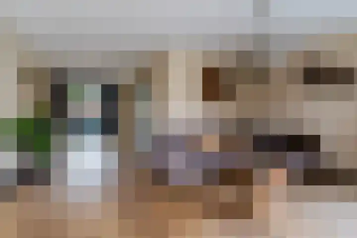 Vendelier 19 Bergeijk thumbnail 10