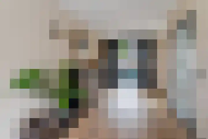 Vendelier 19 Bergeijk thumbnail 11