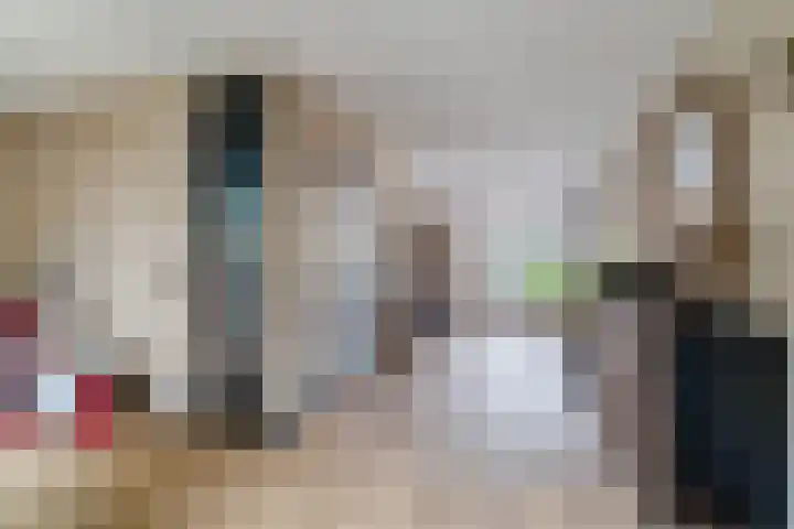 Vendelier 19 Bergeijk thumbnail 13