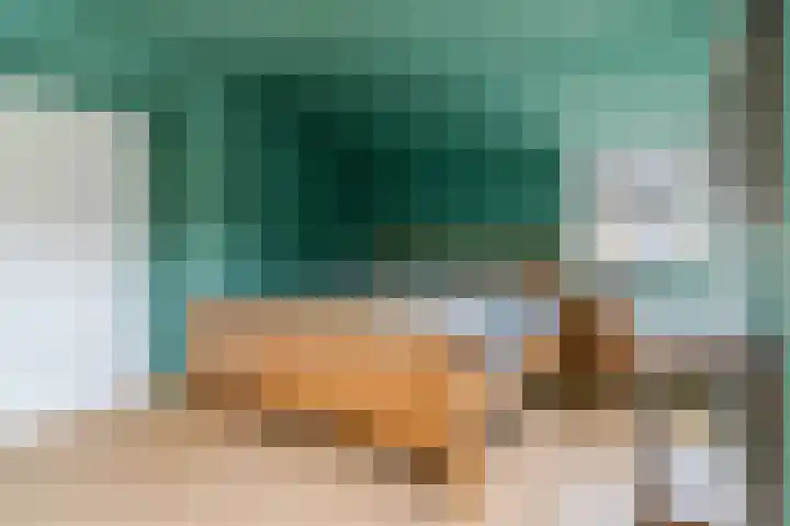 Vendelier 19 Bergeijk thumbnail 18