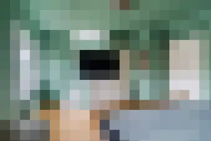 Vendelier 19 Bergeijk thumbnail 19