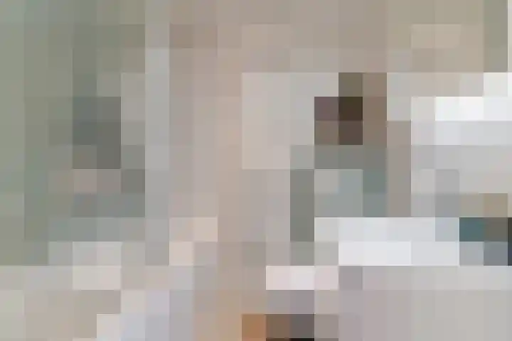 Vendelier 19 Bergeijk thumbnail 24