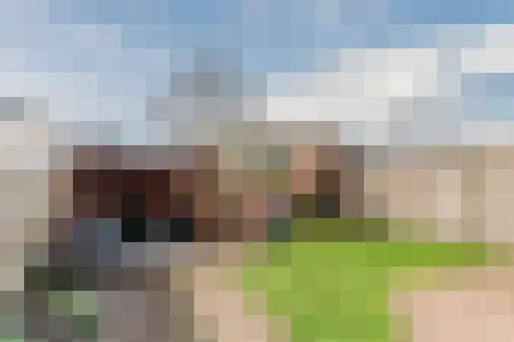 Vendelier 19 Bergeijk thumbnail 30