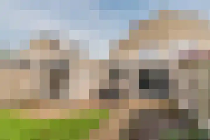 Vendelier 19 Bergeijk thumbnail 32