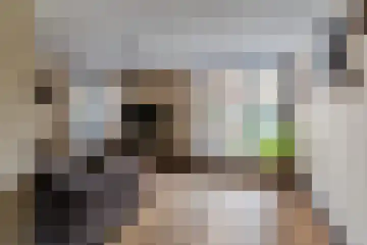 Vendelier 19 Bergeijk thumbnail 8