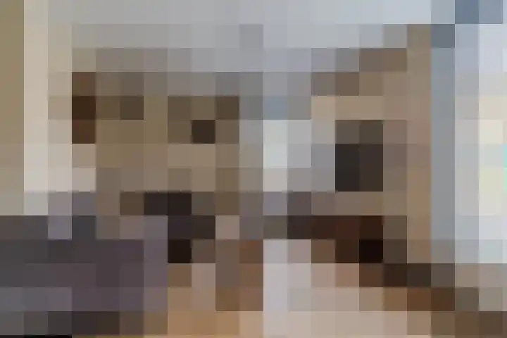 Vendelier 19 Bergeijk thumbnail 9