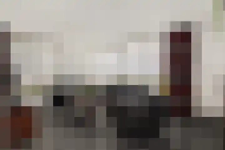 Vendelier 2 Deurne thumbnail 10